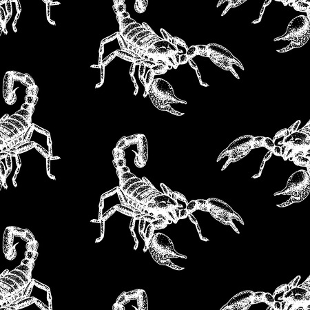 Hand drawn seamless pattern with scorpion. Retro realistic animal background. Doodle line graphic design. Black and white drawing scorpion. Vector illustration.のイラスト素材