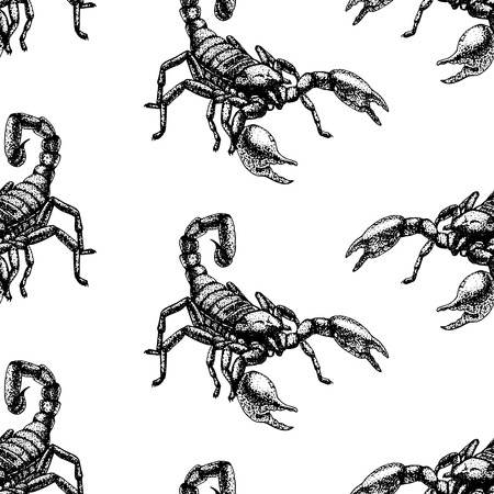 Hand drawn seamless pattern with scorpion. Retro realistic animal background. Doodle line graphic design. Black and white drawing scorpion. Vector illustration.のイラスト素材