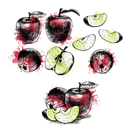 Watercolor Hand drawn set of apples. Vector sketchのイラスト素材