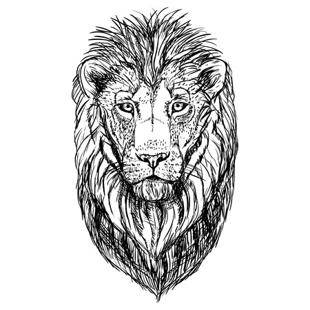 Hand drawn sketch of lion head. Vector illustration.のイラスト素材
