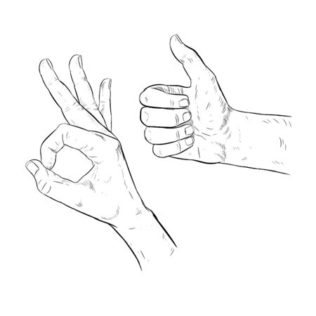 Drawn hand OK gesture, thumbs up illustration.のイラスト素材