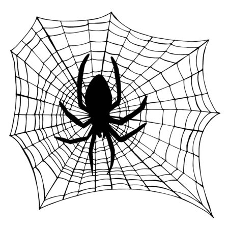Spider with web silhouette. Black white icon. Vector illustration.のイラスト素材