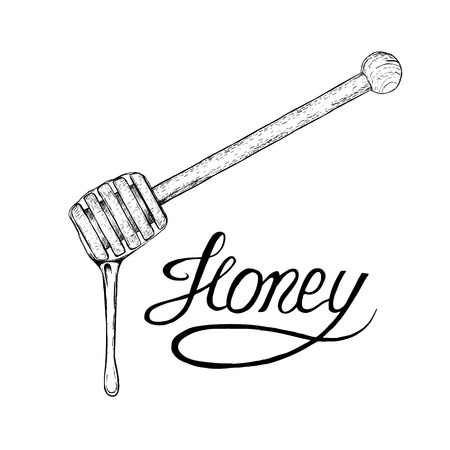 Hand drawn honey stick with drop. Sketches isolated. Black and white graphic design. Vector illustration.のイラスト素材