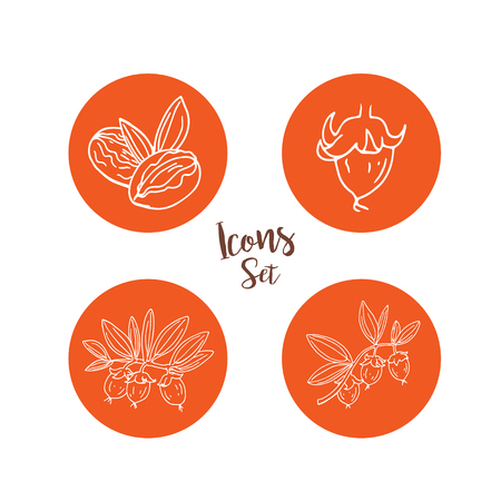 Linear set of jojoba. Line drawing. Collection of icons. Symbols in circles. Round badges. Vector illustration.のイラスト素材