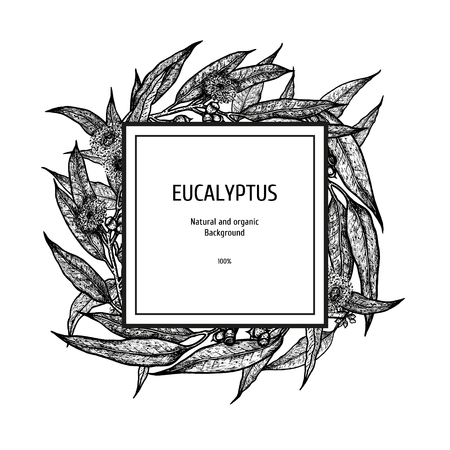 Hand drawn eucalyptus background. Herbal pattern.のイラスト素材