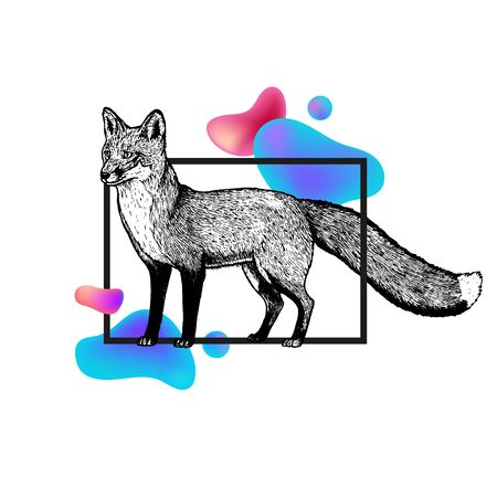 Hand drawn fox with frame and abstraction. Abstract illustration for t-shrt. Modern style. Graphic design. Black and white drawing mammal. Vector sketch. Forest animal.のイラスト素材