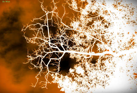 Dried red skyの写真素材