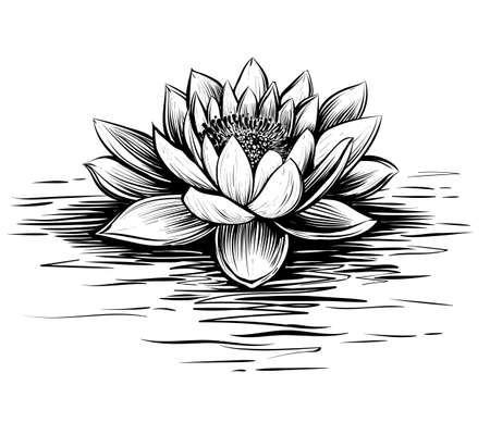 Lily Pad Royalty Free Stock Illustrations And Vectors Stocklib