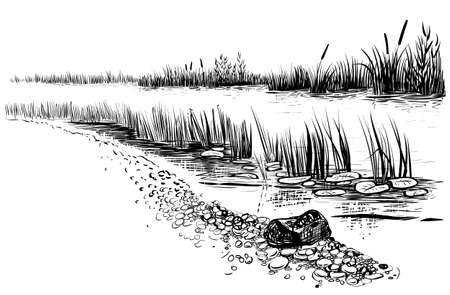 Black and white vector illustration of river landscape. Bank of the river with reed and cattail. Sketchy style.のイラスト素材
