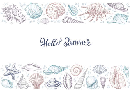 Summer horizontal colorful vintage banner with seashells.のイラスト素材