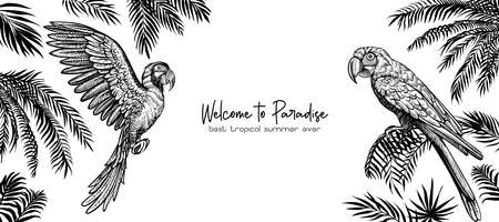 Summer design with parrots and palm leaves. Vector template with illustration for banner or cover.のイラスト素材