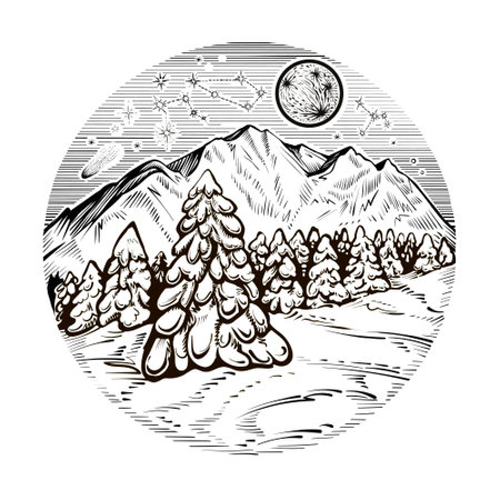 Mountain with forest in the winter night. Vector illustration of round landscape.のイラスト素材