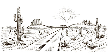 Desert road sketch with cactus and skull, vector illustration. USA journey.のイラスト素材