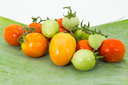 Tomato isolatedの写真素材