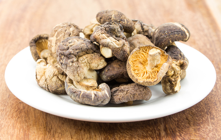 Shiitake Mushroom rawの写真素材