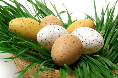 Easter eggs lying in a basket with green grass on a white backgroundの写真素材