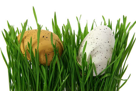 Two Easter eggs in closeup, hidden in green grass, cut out and isolated on white backgroundの写真素材