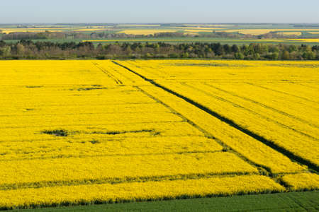 Aerial view of yellow colza fields in the Eure-et-Loir department in the Center-Val de Loire region,...