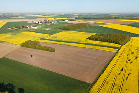 rapeseed fields seen fron the sky in the Eure-et-Loir department, Center-Val de Loire region, France.の写真素材