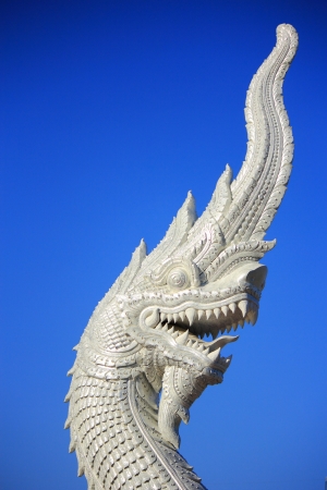 The serpent kingの写真素材