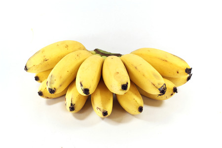 cultivated Gros Michel  bananas branch ripe  の写真素材