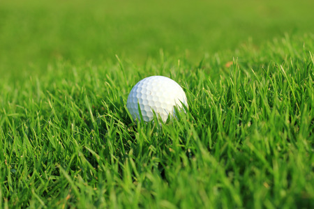Golf ball in rough grass の写真素材
