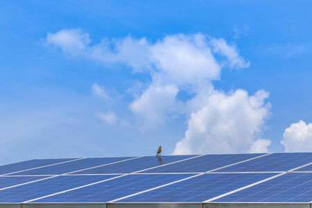 solar panel alternative  energy from the sunの写真素材