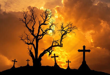 Halloween concept background with scary silhouette dead tree and spooky silhouette crosses in mystic graveyardの写真素材