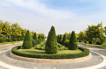 view of shrub trimming ornamental in public green park  and grass field under blue skyの写真素材