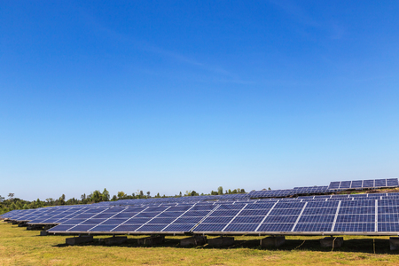 rows array of polycrystalline silicon solar cells or photovoltaics in solar power plant turn up skyward absorb the sunlight from the sun use light energy to generate electricity alternative renewable energy from the sun on blue skyの写真素材