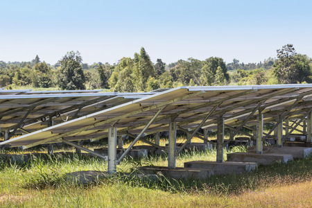 Rows of solar cells in solar power plant turn up skyward absorb the sunlight from the sun use light...