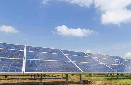 Close up rows array of solar cells or photovoltaics in solar power station convert light energy from...