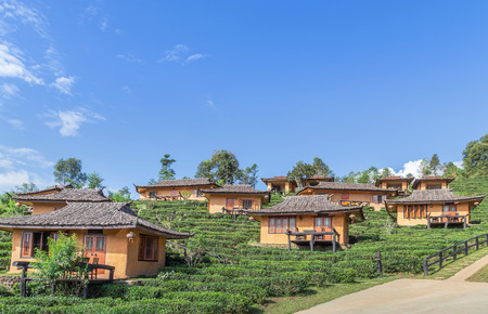 Landscape view of Ban rak thai Chinese community village is Chinese Kuomintang refugees who escaped the communists in 1949 in Pai, Mae Hong Son, Thailand with tea plantation under blue skyのeditorial素材