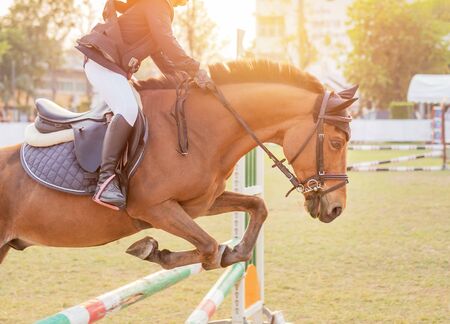 Close up action equestrian rider horse jumping over hurdle obstacle during dressage test competition in race courseの写真素材