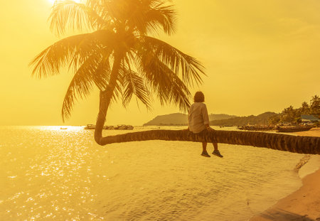 Woman sitting enjoy on trunk coconut palm tree leaning slope over tropical beach while sunset timeの写真素材