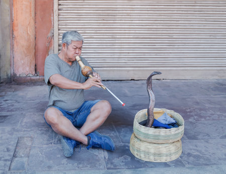 Tourist man snake charmer is playing pungi flute skills for snake dancing show on street in Jaipur Indiaの写真素材