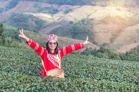 Asian hill tribe woman ethnic minority with traditional clothes standing showing two fingers victory sign or peace sign at in tea plantation at the north of Thailandの写真素材