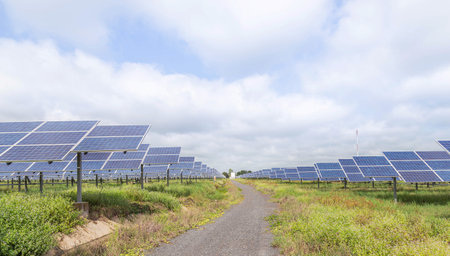 rows array of Solar panels or photovoltaics in solar power station convert light energy from the sun , alternative clean energy  environmentally friendlyの写真素材
