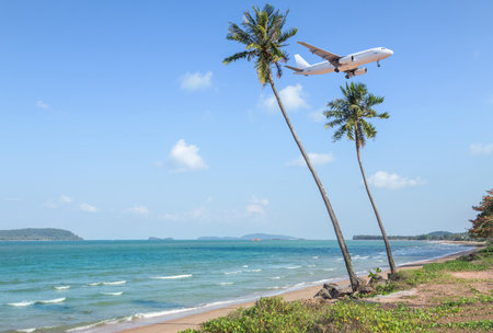 landscape view of tropical beach with coconut palm trees while passenger airplane flying over turquoise sea ,destinations summer holidays concept .の写真素材