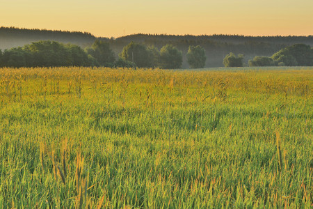Sunrise in the fieldの写真素材