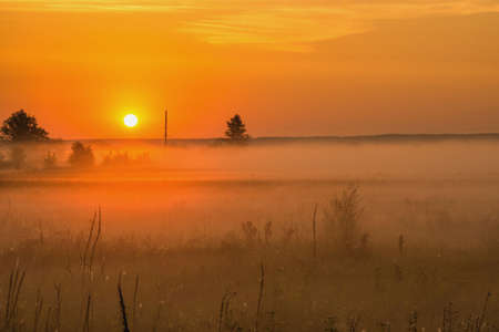 Sunrise in the foggy morningの写真素材