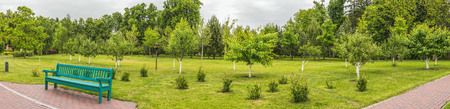 Panorama of the orchard in the Mezhyhirya tract near Kiev.の写真素材