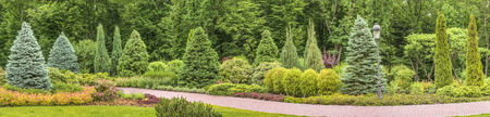 Panorama of the fragment of the park in Mezhyhiria near Kiev.