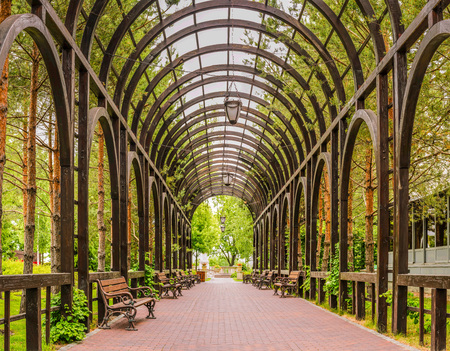 Panorama of a beautiful pergola in the landscape park Mezhyhirya near Kiev.の写真素材