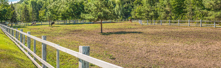 Panorama of a place for summer walks and pastures for cows. We see a large corral for summer cattle...