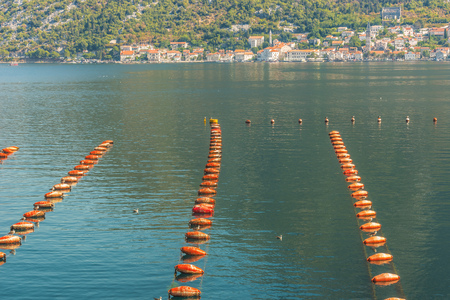 View of a fragment of an oyster farm in Kotor Bay near the town of Perast (in the background),...