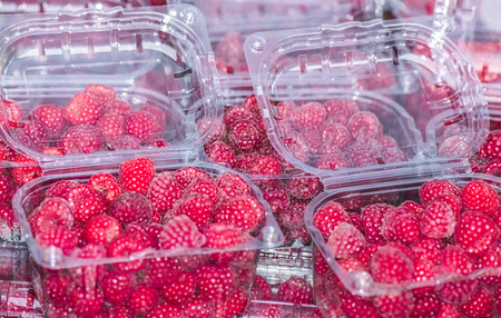 Raspberry fruit in the package.の写真素材