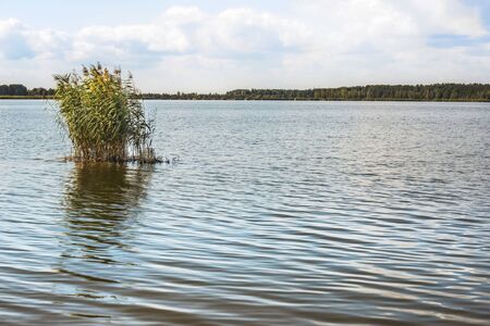 View of the bay of the Dnieper in Kiev.の写真素材