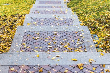 Fragment of the stairs in the autumn parkの写真素材