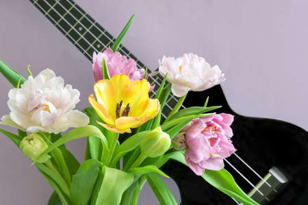A bouquet of beautiful tulips on a lilac background and a fragment of a musical instrument ukulele.の写真素材